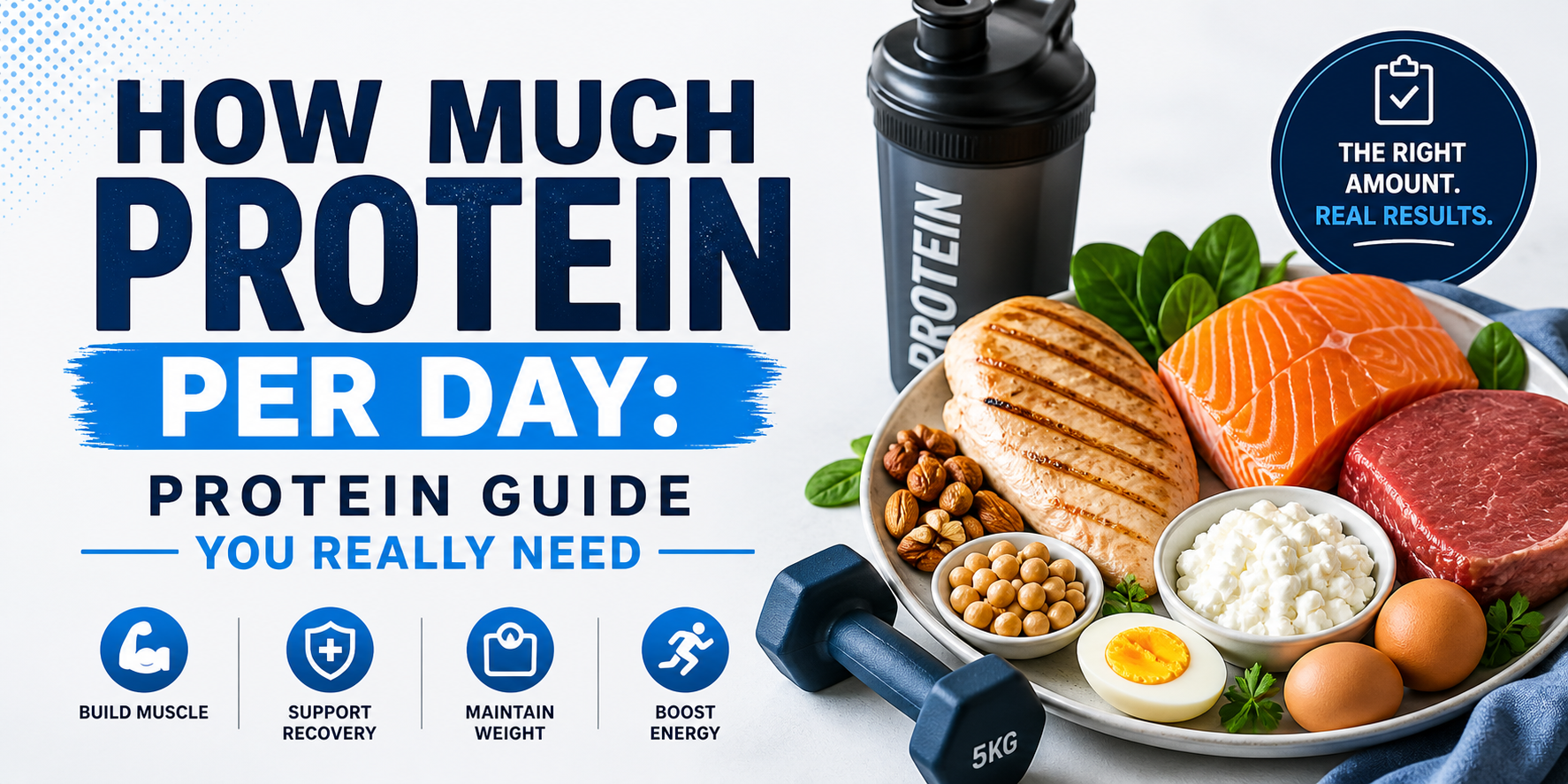 How Much Protein Per Day: Protein Guide You Really Need