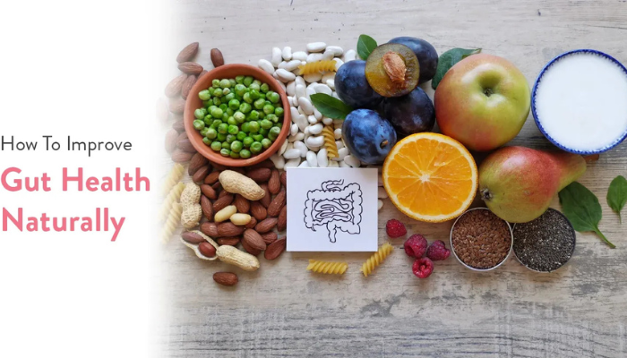 gut health basics