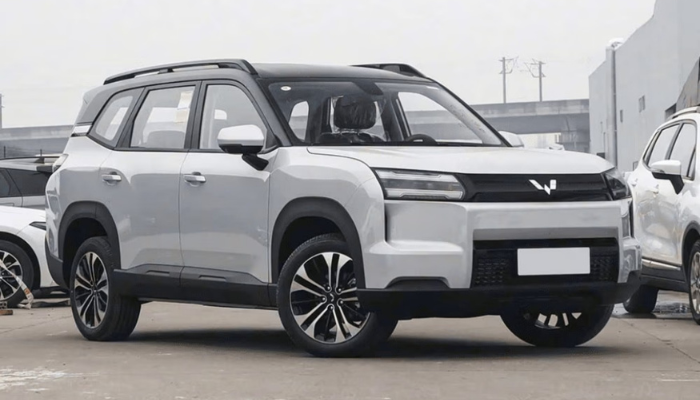 MG Hector Hawk EV